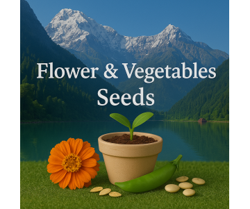 Seeds
